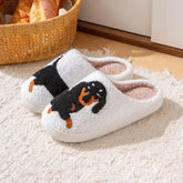 Pantufa Cachorro Salsicha